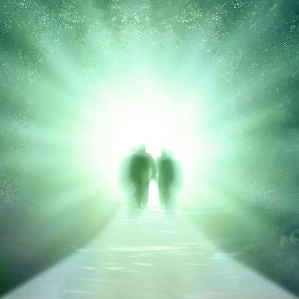 Life Between Lives Therapy